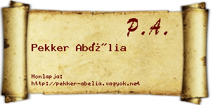Pekker Abélia névjegykártya